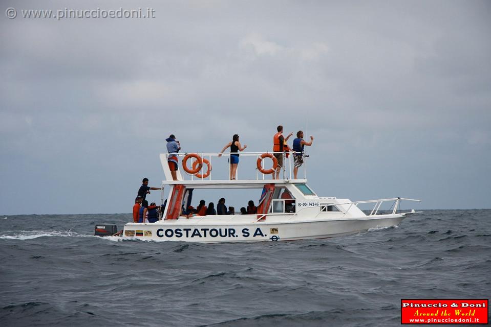 ECUADOR - Whale watching in Puerto Lopez - 01.jpg